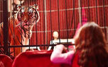 واکنش جالب حیوانات سیرک پس از آزادی + فیلم 